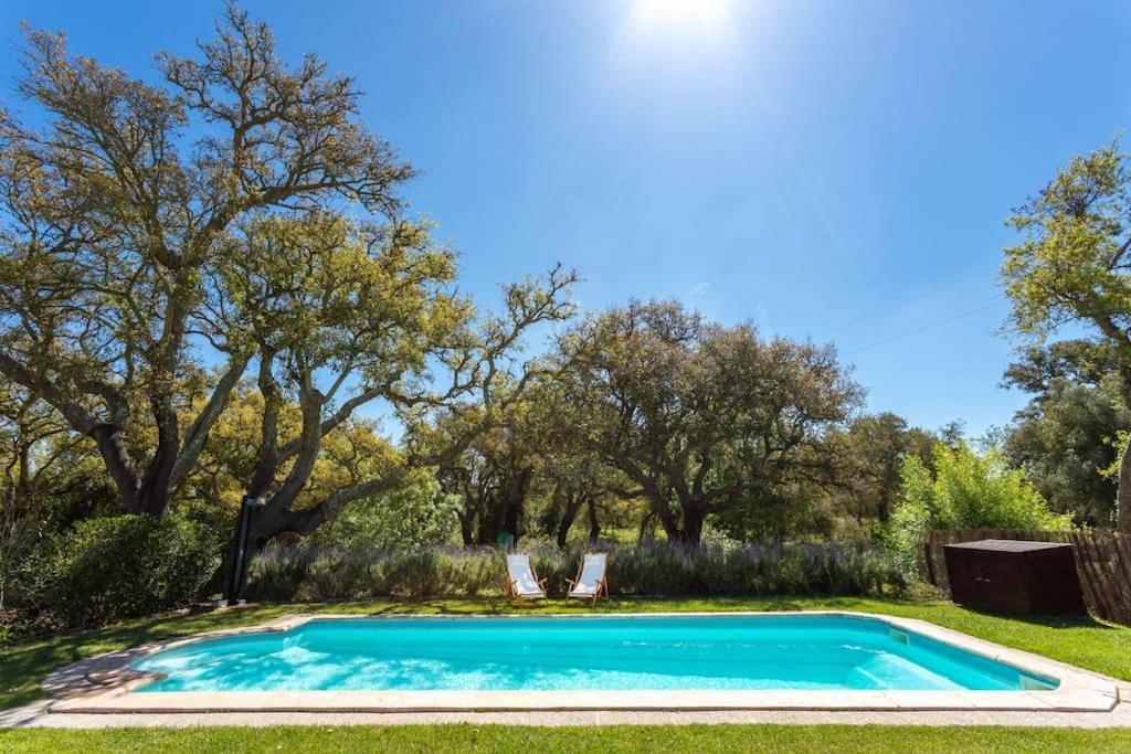Villa Monte Dos Passarinhos à Grândola Extérieur photo